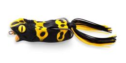 GABARIN キオビヤドク