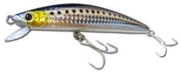 SHORE LINE SHINER R50 LD F-G トランスイワシ
