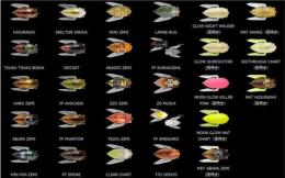 GRAND SIGLETT 夜鳴きシグレ MOON GLOW MAT CHART