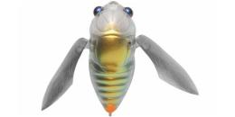 GRAND SIGLETT SKELETON SIRIUS