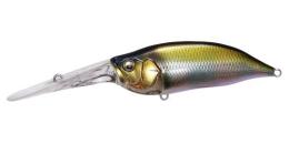 IxI SHAD TX WAGIN OIKAWA