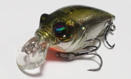 QUIET GRIFFON SR-X ST WAKASAGI (SP-C) 極